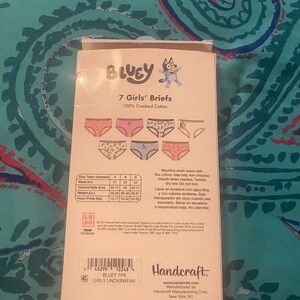 Size 4 bluey underwear never worn